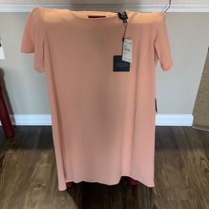 Brand new Babeau blush dress with peep hole back features